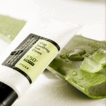 COSRX Aloe Soothing Sun Cream SPF 50+ placed on fresh aloe vera leaf showing hydrating sunscreen texture