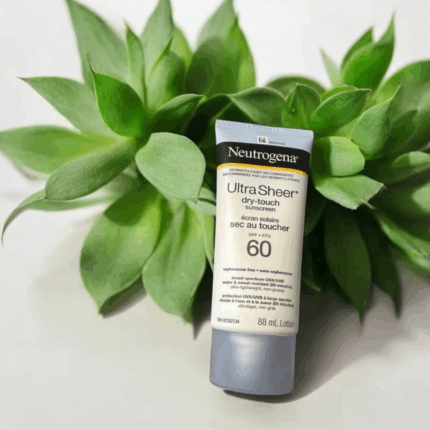 Neutrogena Ultra Sheer Dry-Touch Sunscreen SPF 60 88ml tube placed in front of green succulent plant on white background natural skincare concept